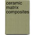 Ceramic Matrix Composites