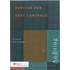 Auditen van soft controls