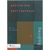 Auditen van soft controls door R.S. de Heus