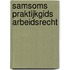 Samsoms Praktijkgids Arbeidsrecht