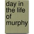 Day in the Life of Murphy