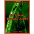 Do Insects Transmit Aids?