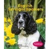 English Springer Spaniels door Jody Sullivan Rake