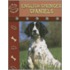 English Springer Spaniels