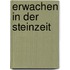 Erwachen in der Steinzeit