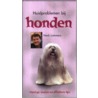 Huidproblemen bij honden by H. Lommers