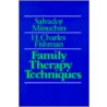 Family Therapy Techniques door Salvador Minuchin