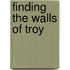 Finding The Walls Of Troy