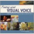 Finding Your Visual Voice