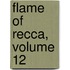 Flame of Recca, Volume 12
