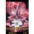 Flame of Recca, Volume 27