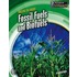 Fossil Fuels And Biofuels