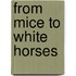 From Mice To White Horses