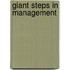 Giant Steps In Management