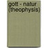 Gott - Natur (Theophysis)