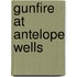 Gunfire at Antelope Wells