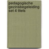 Pedagogische gezinsbegeleiding set 4 titels door T. Verhoef