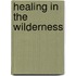 Healing in the Wilderness