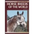 Horse Breeds Of The World