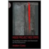 Inside Project Red Stripe door Andrew Carey