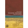 Islamic History Vsi:ncs P door Adam J. Silverstein