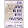 Jews In The Time Of Jesus door Stephen Wylen