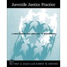 Juvenile Justice Practice by Rodney E. Ellis