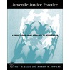 Juvenile Justice Practice door Rodney E. Ellis