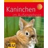 Kaninchen im Außengehege