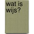 Wat is wijs?
