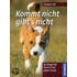Kommt nicht, gibt's nicht