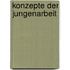 Konzepte der Jungenarbeit