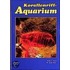 Korallenriff - Aquarium 5