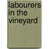 Labourers In The Vineyard