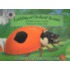 Ladybug at Orchard Avenue