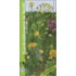 Paardenbloemen in beeld