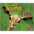 Let's Look at Animal Ears