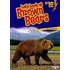 Let's Look at Brown Bears
