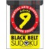 Level 9 Black Belt Sudoku