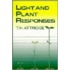 Light and Plant Responses