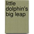 Little Dolphin's Big Leap