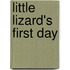 Little Lizard's First Day