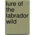 Lure of the Labrador Wild