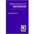 Making Sense Of Nietzsche