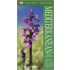 Mediterranean Wildflowers