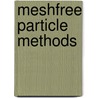 Meshfree Particle Methods door Wing Kam Liu