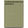 Methamphetamine Addiction by Perry N. Halkitis