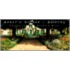 Monet's Garden at Giverny