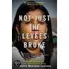 Not Just the Levees Broke door Phyllis Montana-LeBlanc