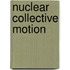 Nuclear Collective Motion